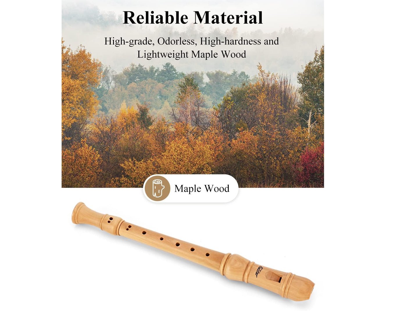 Eastar C Key Soprano Recorder Students Beginners ERD-31BM