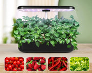 Hydroponic Growing System 12 Pots Indoor Garden with LED Grow Light