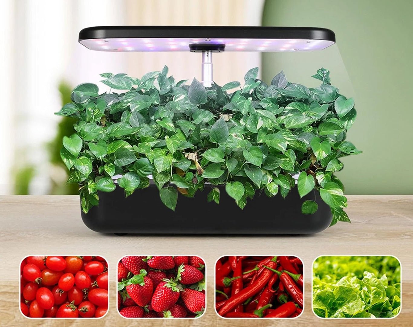 Hydroponic Growing System 12 Pots Indoor Garden with LED Grow Light