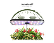 Hydroponic Growing System 12 Pots Indoor Garden with LED Grow Light