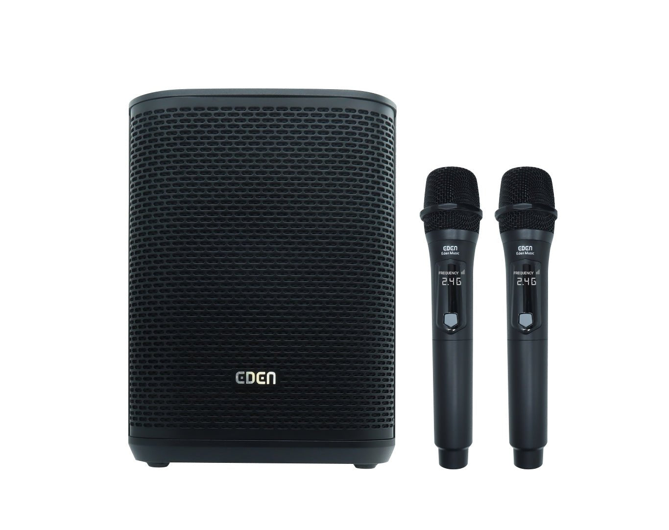 EDEN Portable Bluetooth Karaoke Speaker Dual Wireless Microphones PA8-2
