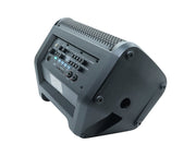 EDEN Portable Bluetooth Karaoke Speaker Dual Wireless Microphones PA8-2