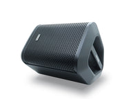 EDEN Portable Bluetooth Karaoke Speaker Dual Wireless Microphones PA8-2