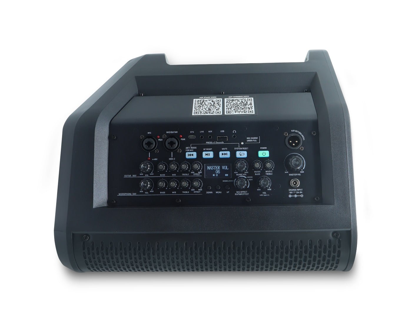 EDEN Portable Bluetooth Karaoke Speaker Dual Wireless Microphones PA8-2