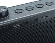 Portable Bluetooth Karaoke Speaker with Wireless Microphone PX88