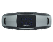 Andowl Portable Bluetooth Karaoke Speaker Dual Wireless Microphones Q-YX0817