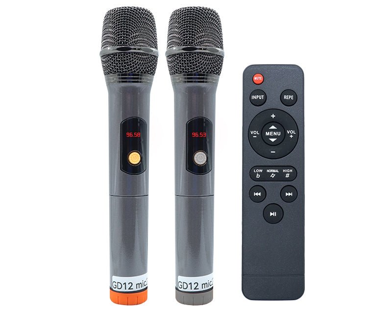 Bluetooth Karaoke Machine 550W Dual Wireless Microphones Party Speaker GD-12 