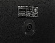 Weconic PA Speakers Pair 300W WP-15