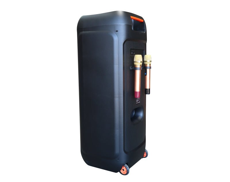 Precision Audio 600W Portable Karaoke Speaker Bluetooth Twin Wireless Microphones LG1200