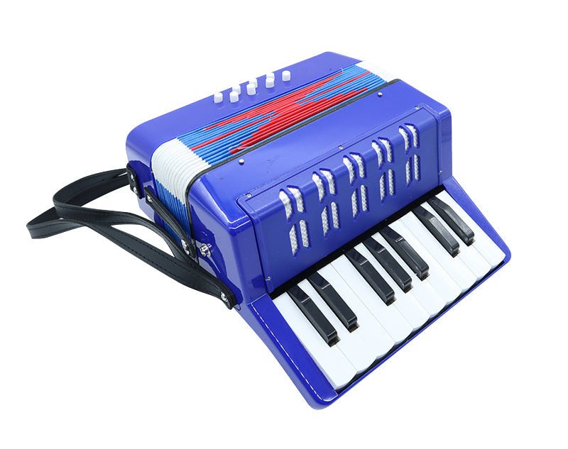 17 Key Piano Accordion 8 Bass Pads Key Of C 24x10cm UC104 Blue