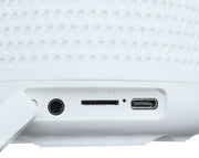 MaxGuard Portable Bluetooth Speaker Wireless Microphone K81