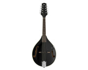 Donner A-Style Mandolin and Accessories Pack DML-100B