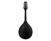 Donner A-Style Mandolin and Accessories Pack DML-100B