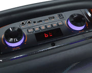 SING-E Portable Bluetooth Karaoke Speaker with Twin Wired Microphones ZQS-L19