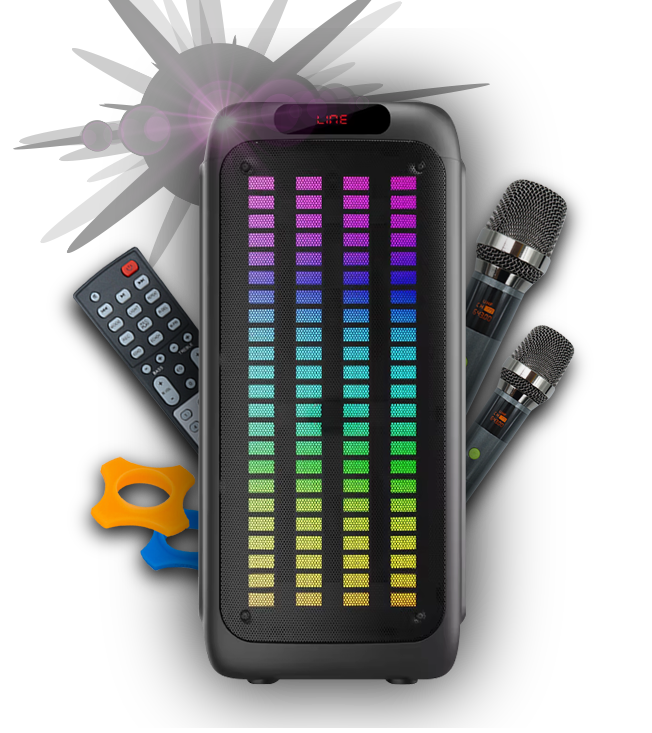 Karaoke speaker with microphones and accessories