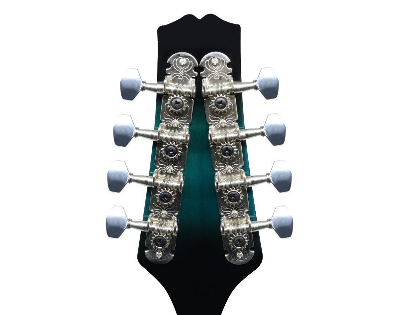 Freedom 8-String Acoustic-Electric Mandolin MT30 Blue 