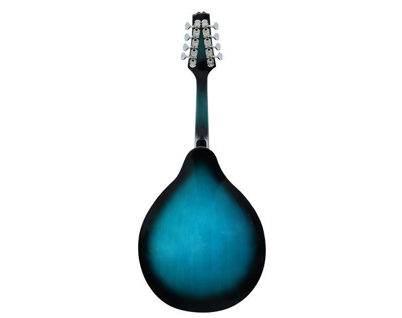 Freedom 8-String Acoustic-Electric Mandolin MT30 Blue 