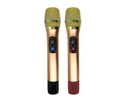 Precision Audio 600W Portable Karaoke Machine Speaker System Party Box Bluetooth Fire Light Twin Wireless UHF Microphone LG1200 
