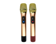 Precision Audio 600W Portable Karaoke Speaker Bluetooth Twin Wireless Microphones LG1200 