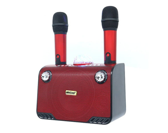 ANDOWL Portable Karaoke Bluetooth Party Speaker Twin Wireless Microphones Red