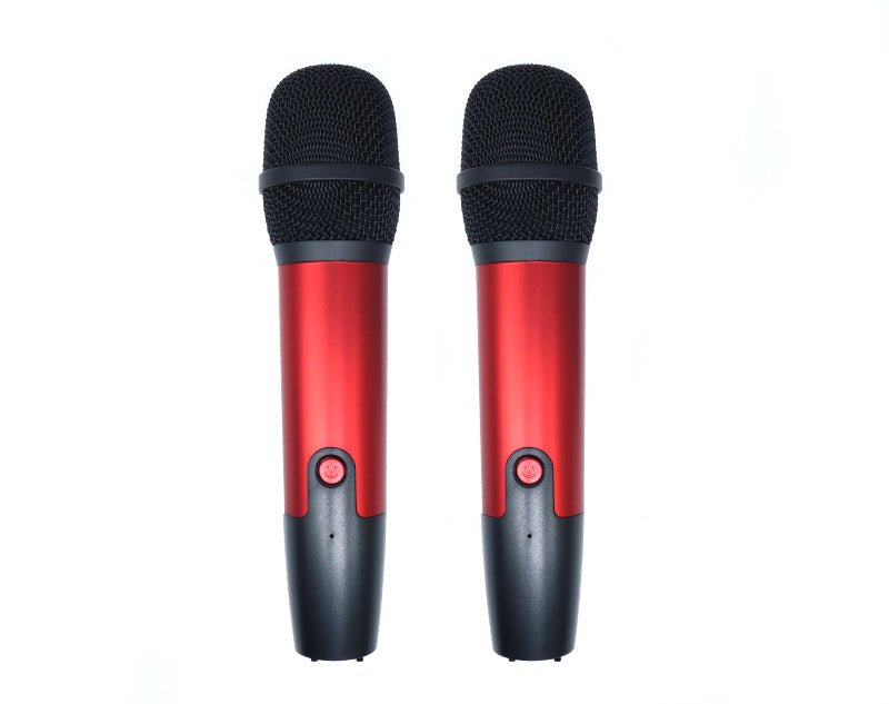 ANDOWL Portable Karaoke Bluetooth Party Speaker Twin Wireless Microphones Q-YX899 