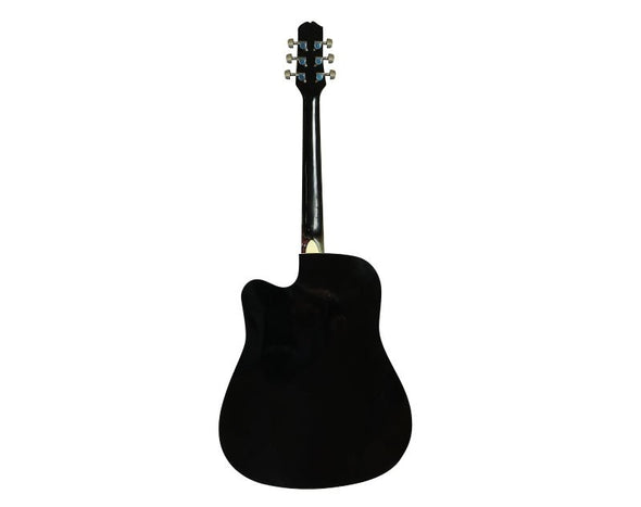 Freedom 41" Semi Acoustic Guitar Built-In Pickup Steel String 41"SEMIACOUSTIC 